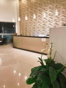 a vase of flowers sitting on a table in a lobby at Apartahotel Plaza in San Andrés