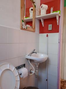 Pousada Fonte Viva في لافراس نوفاس: حمام صغير مع مرحاض ومغسلة