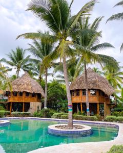 a resort with a palm tree next to a swimming pool at Hotel Tortuga Village in La Herradura