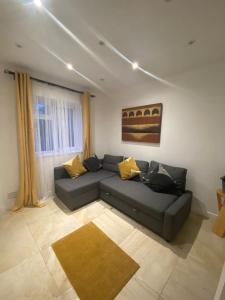 a living room with a gray couch and yellow pillows at Dannifar Guest House in London