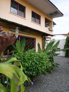 a house with a bunch of plants in front of it at Résidence Canopée in Libreville