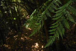 Fotografie z fotogalerie ubytování Casa Puente de Chiloé v destinaci Castro