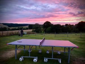 a ping pong table in the middle of a field at Riccal Dale Cottage in Helmsley