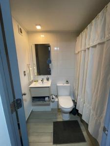 a bathroom with a white toilet and a sink at Apartamento en Santiago centro cerca de movistar arena, caupolican in Santiago