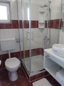ein Bad mit einer Dusche, einem WC und einem Waschbecken in der Unterkunft Apartment Pag 16100c in Pag