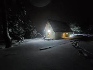 Stašina vikendica Divčibare v zimě