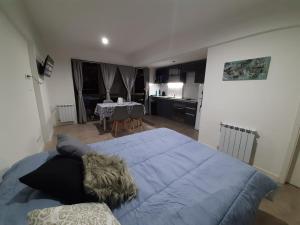 1 dormitorio con 1 cama azul grande y cocina en Departamento Centro Mar del Plata en Mar del Plata