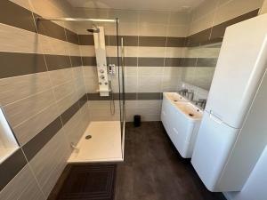a bathroom with a shower and a toilet and a sink at Gite 5 chambres, piscine intérieure, proche du Der 