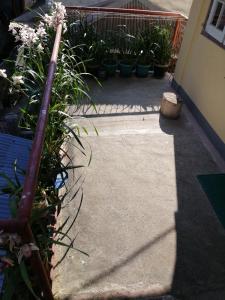 een tuin met planten en bloemen op een stoep bij Inn Maugay Bed and Bath in Sagada