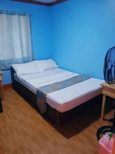 2 camas en una habitación con una pared azul en JayDin Travellers Inn en Panglao