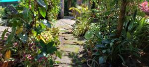 un jardín con plantas y un camino de piedra en GGGO RESIDENCES, Studio 103, pet friendly, en Sorsogon
