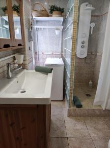 a bathroom with a sink and a shower and a toilet at Apartament Ampolla Port in L'Ampolla