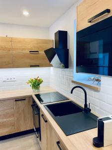 Kuchyň nebo kuchyňský kout v ubytování Apartmán U včelína