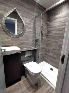 a bathroom with a toilet and a shower and a mirror at Boutique Annexe Close To Norwich City & Airport in Horsham Saint Faith