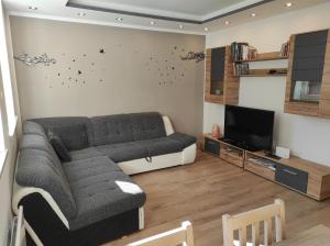 - un salon avec un canapé et une télévision dans l'établissement Apartma Jelendol, à Tržič