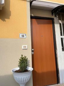 a plant in a pot in front of a door at Casa di Mattia in Villanova