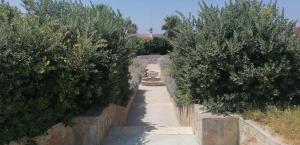 een pad tussen twee bomen met een brug bij I Mirti - Home Holiday in Marina di Mancaversa