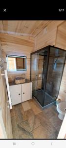 DurfortにあるChalet avec bain nordiqueのバスルーム(ガラス張りのシャワー、トイレ付)