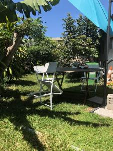 une table et une chaise assises dans l'herbe dans l'établissement Studio avec jardin clos et wifi a Saint Pierre, à Saint-Pierre
