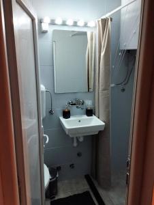 La salle de bains est pourvue d'un lavabo et d'un miroir. dans l'établissement Mila Apartment, à Skopje