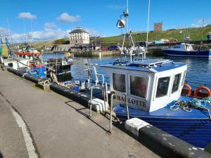 a blue and white boat is docked at a dock at Charming Eyemouth apartment close the beach in Eyemouth