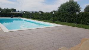 a large swimming pool in a yard with a hedge at Villa Giasi in Floridia