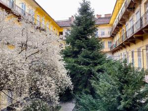 Vonkajšia záhrada v ubytovaní Venus Apartments - King Street IV