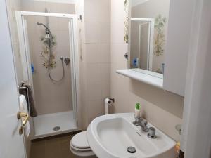 bagno con lavandino, doccia e servizi igienici di Grande casa vicina al centro a Firenze