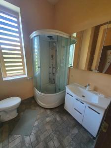 a bathroom with a shower and a toilet and a sink at Vecais cels 25C in Jelgava