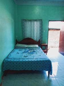 a bedroom with a bed in a green room at NatureswayBudget room Travel in Coron