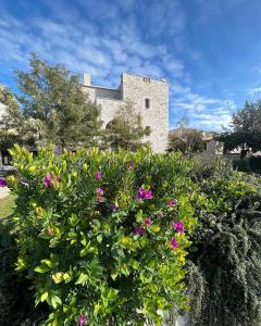 a bush with flowers in front of a building at Achelatis Traditional Guest Houses in Areopolis