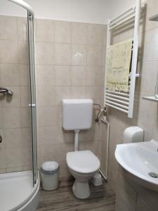 łazienka z toaletą i umywalką w obiekcie Régi Csárda és Panzió w mieście Magyarszerdahely