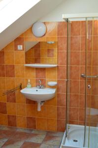 a bathroom with a sink and a shower at Bordany Hostel in Bordány
