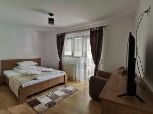 a bedroom with a bed and a television in front of a window at Casa Dana Olteanu in Moieciu de Sus