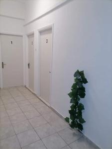 Foto sihtkohas Árgos asuva majutusasutuse Hotel Theoxenia galeriist