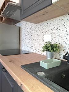 Kuchyň nebo kuchyňský kout v ubytování Apartment Karlo