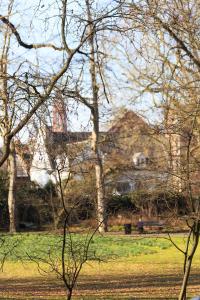 Příroda nedaleko penzionu