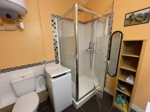 łazienka z prysznicem, toaletą i umywalką w obiekcie Bel appartement T2 cabine avec parking, clim, proche plage et commerces, Saint-Cyprien - FR-1-106-71 w mieście Saint-Cyprien +18 zdjęć
