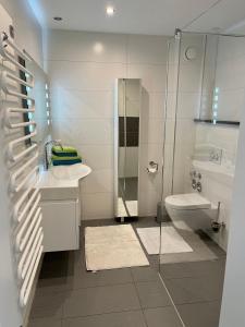 a bathroom with a shower and a sink and a toilet at FeWo Michaela Köst in Konstanz