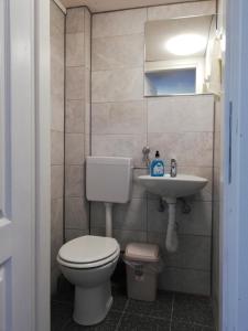 La salle de bains est pourvue de toilettes et d'un lavabo. dans l'établissement Kuća za odmor Kustura, à Ilok