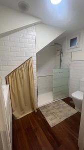 y baño con ducha y aseo. en A de Maria - Tres Marias Apartments en Redondela