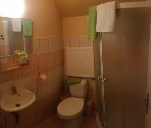 a bathroom with a toilet and a sink at Penzion Cihelna in Brno