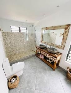 a bathroom with a toilet and a sink and a mirror at Villa Banian Île Maurice in Bain Boeuf