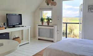 a bedroom with a bed and a tv and a window at Edam, Garden Room with private entrance and rural view in Edam