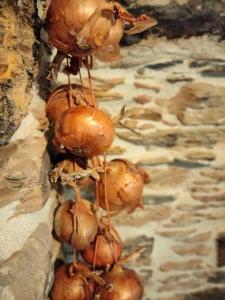 um monte de cebolas penduradas numa parede em Casa Bagaro em Serantes