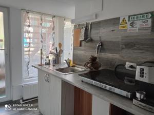 a kitchen with a sink and a counter top at Casa ROOL in Turda