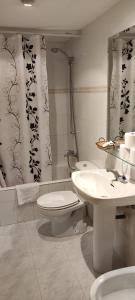 a bathroom with a toilet and a sink and a shower at Apartamentos Lausan in Gavín