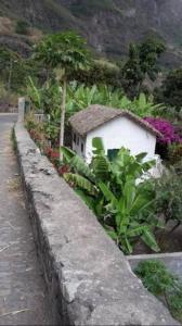 a small house in a garden next to a wall at Cottage na Ribeira do Paúl in Pombas