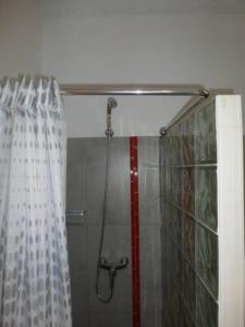 a shower with a shower curtain in a bathroom at Cottage na Ribeira do Paúl in Pombas