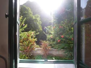 an open window with a view of a garden at Cottage na Ribeira do Paúl in Pombas